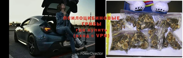 молекула духа Алексеевка