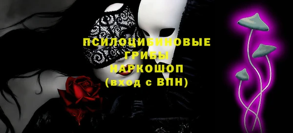 молекула духа Алексин