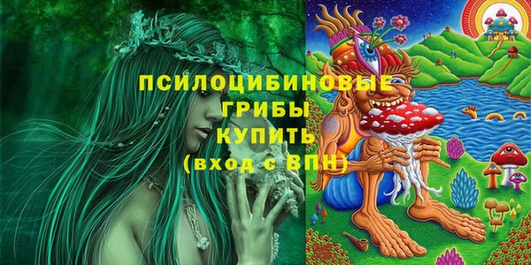молекула духа Алексеевка