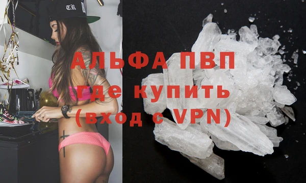 молекула духа Алексеевка