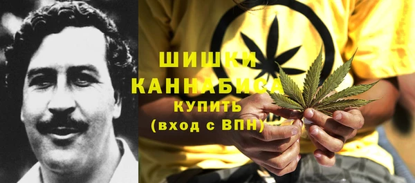 молекула духа Алексин