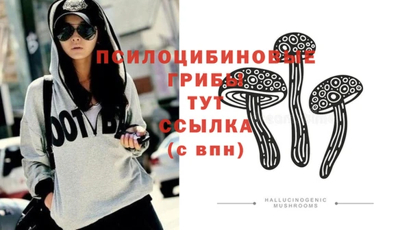 молекула духа Алексин