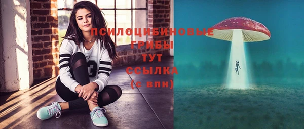 эйфоретик Алзамай