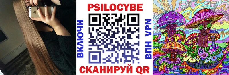 omg ССЫЛКА  Осинники  Галлюциногенные грибы Psilocybine cubensis 