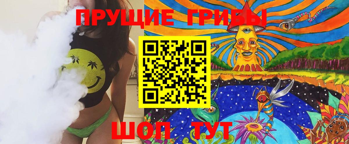 Псилоцибиновые грибы MAGIC MUSHROOMS  Вход с VPN  Осинники 