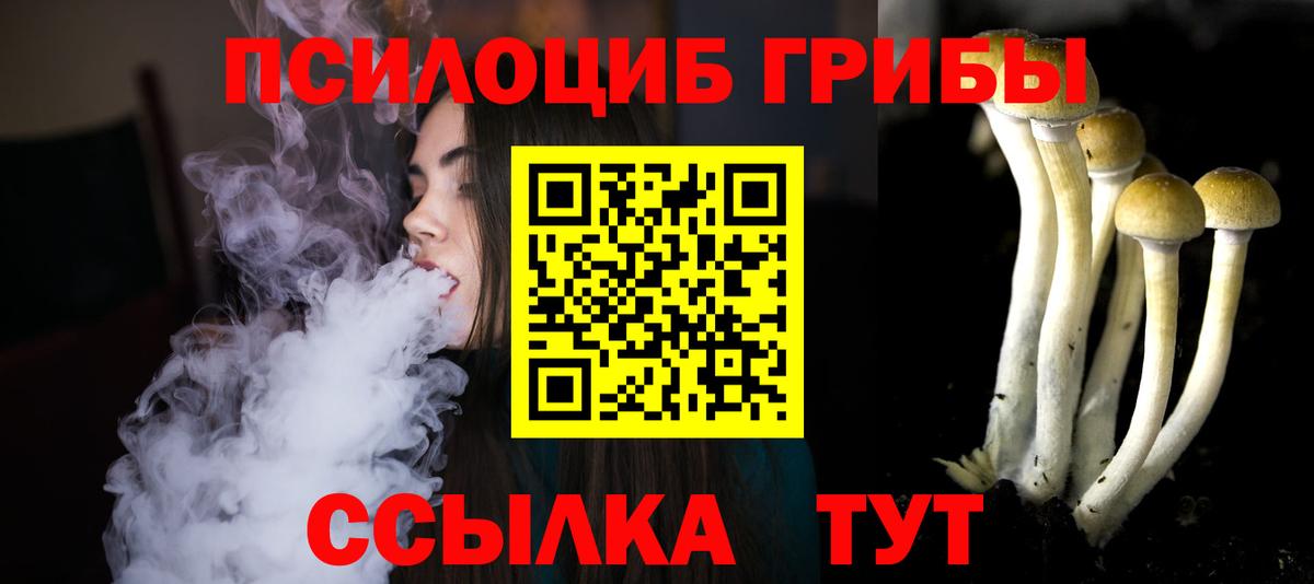 Псилоцибиновые грибы GOLDEN TEACHER Осинники