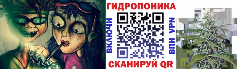 где купить наркоту  KRAKEN зеркало  Шишки марихуана Ganja  Осинники 